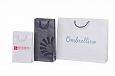 laminated paper bags | Galleri- Laminated Paper Bags durable laminated paper bags with personal lo